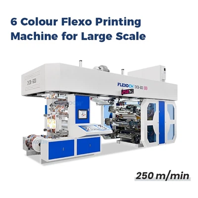 How does a 6 Colour Flexo Printing Machine differ from other printing machines?