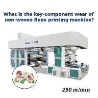 What is the wear and tear of key components in a Non Woven Flexo Printing Mac...