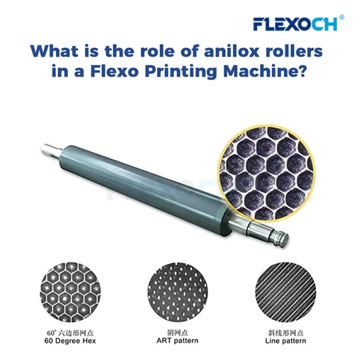 What is the role of anilox rollers in a Flexo Printing Machine?